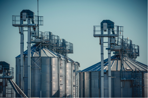 AGRO ALIMENTAIRE